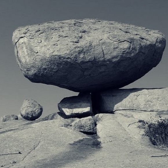 Meet your Posher, Dana - Picture 1 of 1